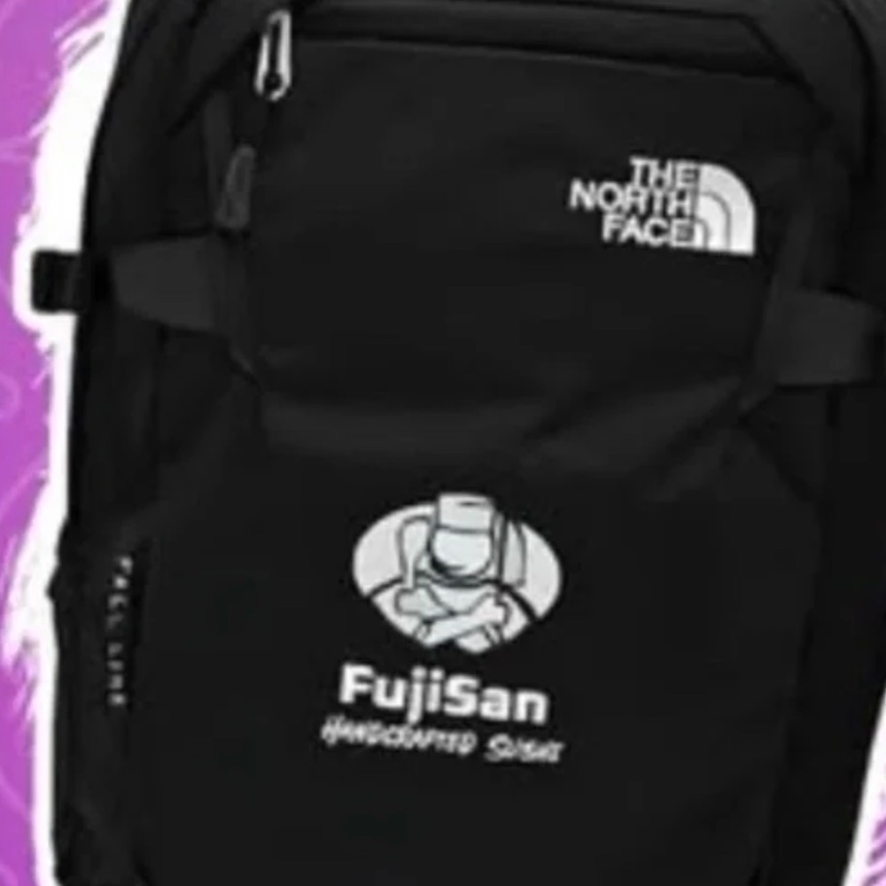 THE NORTH FACE - FALL LINE BACKPACK